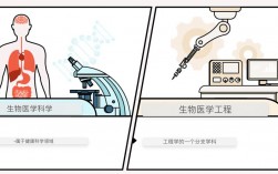 生物工程和生物科學有什么區別？