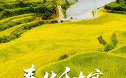 春華秋實(shí)的意思