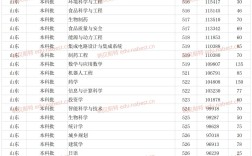 煙臺(tái)大學(xué)專(zhuān)業(yè)及分?jǐn)?shù)線(xiàn)