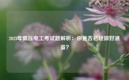 2023年低壓電工考試題解析：你是否已經(jīng)做好準(zhǔn)備？