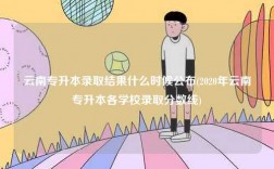 云南專升本錄取結(jié)果什么時候公布(2020年云南專升本各學(xué)校錄取分數(shù)線)