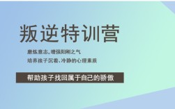 孩子不服管教叛逆網(wǎng)癮能送哪里管教(推薦戒網(wǎng)癮學(xué)校)-不體罰打罵，從心理開始
