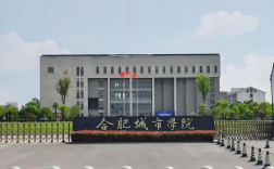 2025年成考專升本合肥城市學(xué)院財(cái)務(wù)管理專業(yè)政策解析：報(bào)名條件與流程全攻略