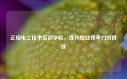 正規(guī)電工技術(shù)培訓(xùn)學(xué)校，提升就業(yè)競(jìng)爭(zhēng)力的首選