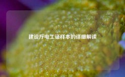 建設(shè)廳電工證樣本的詳細(xì)解讀