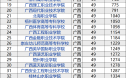 2024年廣西高職高專學(xué)校排名
