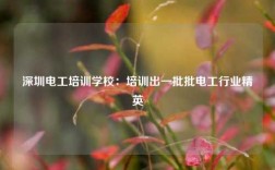 深圳電工培訓學校：培訓出一批批電工行業精英