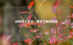 初級電工必學：看這個視頻就會