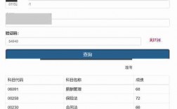 自考能查分嗎