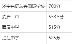 2024年遂寧高中學校排名前十