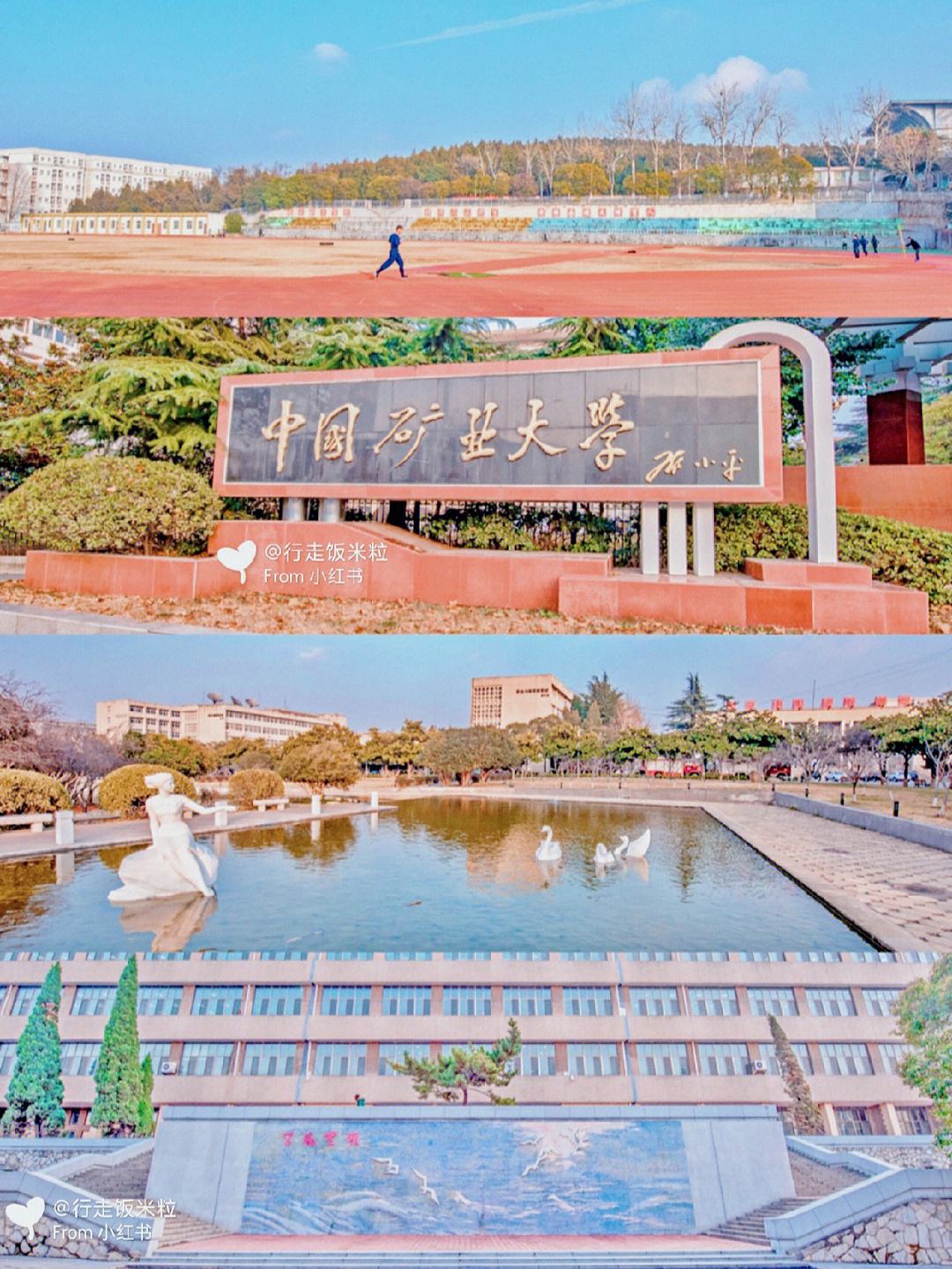 cumt是哪個大學(中國礦業(yè)大學有哪些學院)-圖1