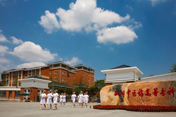 學(xué)中醫(yī)的學(xué)校(成人想學(xué)中醫(yī)去什么學(xué)校)-圖1