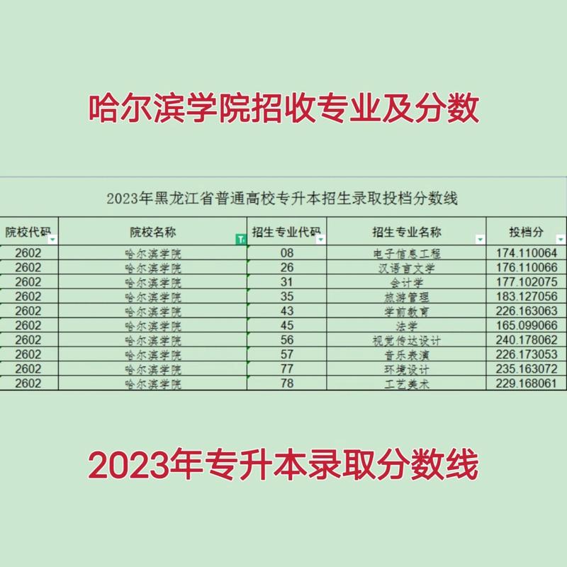 哈爾濱學院錄取分數線(哈爾濱學院多少分能考上)-圖1
