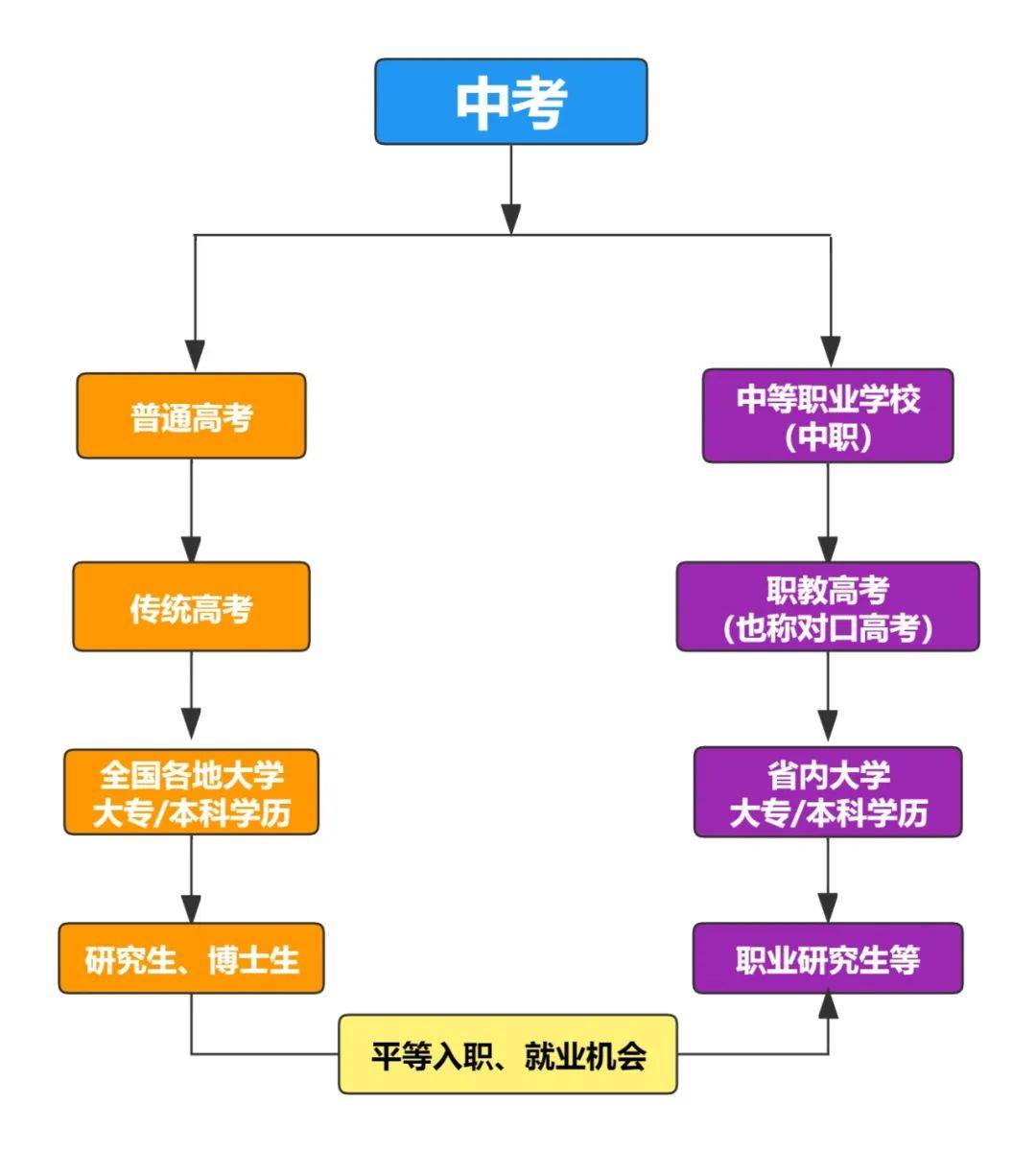 上全日制大專的途徑(怎樣報(bào)考全日制大專)-圖1
