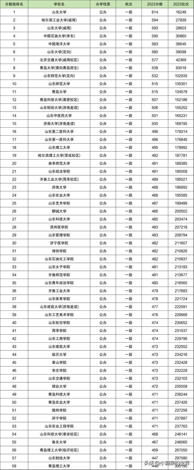山東省最低分的二本公辦大學(xué)(中國(guó)傳媒大學(xué)2+2國(guó)際本科)-圖1