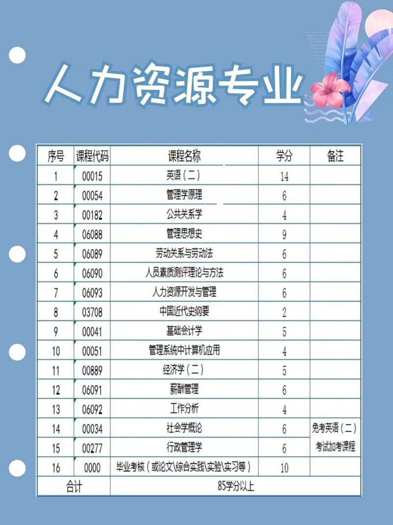 人力資源管理是冷門專業(yè)嗎-圖1