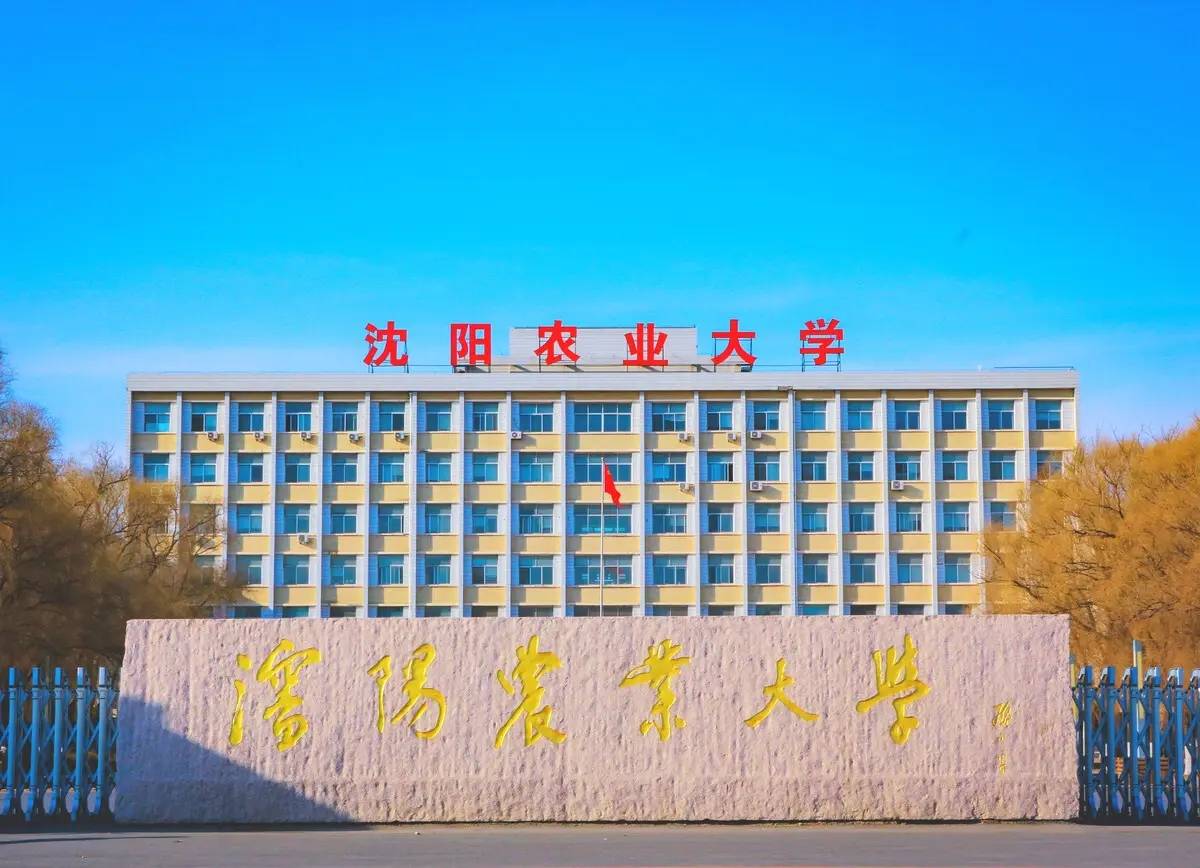 沈陽農(nóng)業(yè)大學(xué)好嗎-圖1