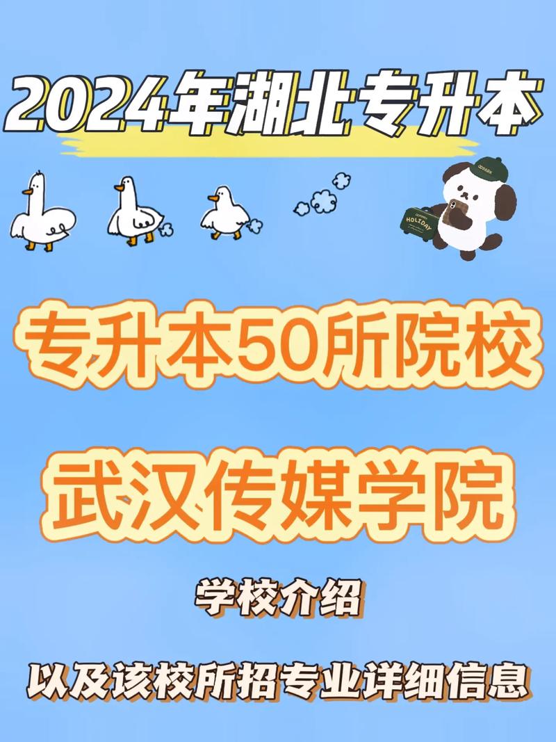 武漢傳媒學(xué)院專升本-圖1