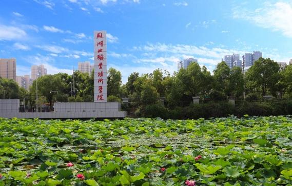 湖北大學(xué)職業(yè)技術(shù)學(xué)院-圖1
