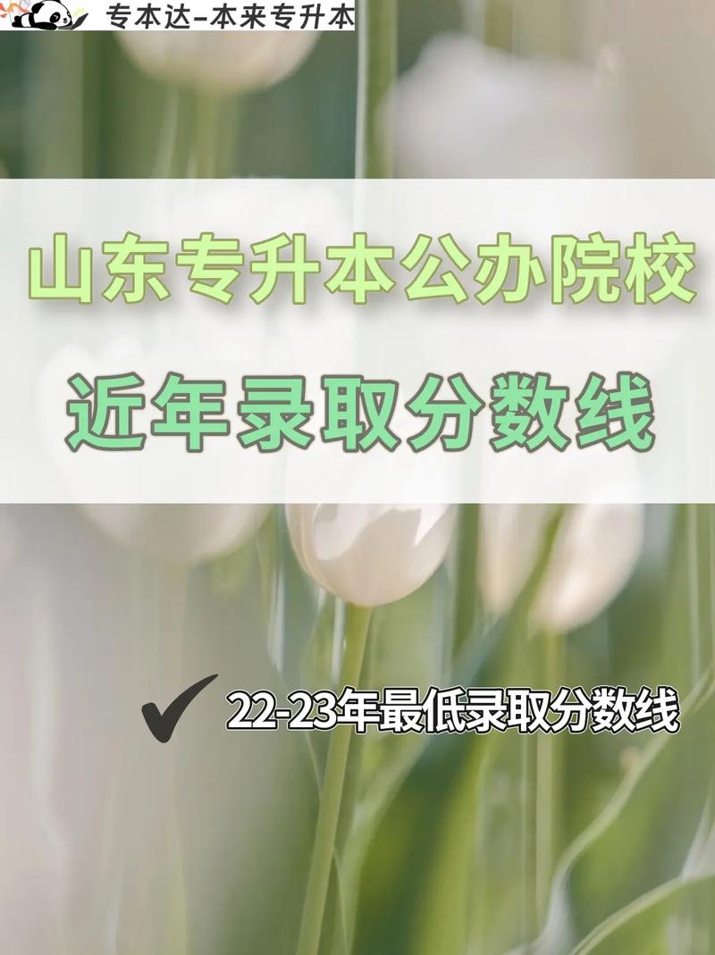 山東招收專升本的學(xué)校 報(bào)考條件有哪些-圖1