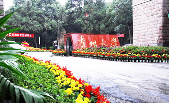 貴州大學(xué)繼續(xù)教育學(xué)院官網(wǎng)http://cce.gzu.edu.cn/-圖1