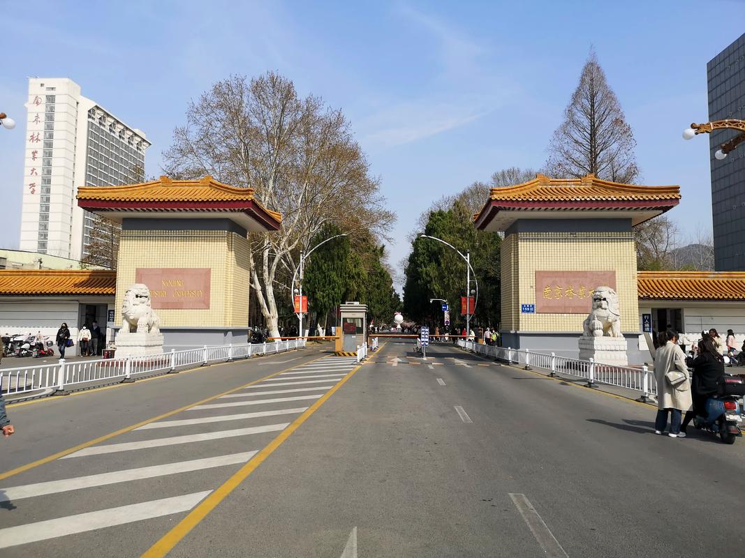 南京林業大學是985或者211嗎-圖1