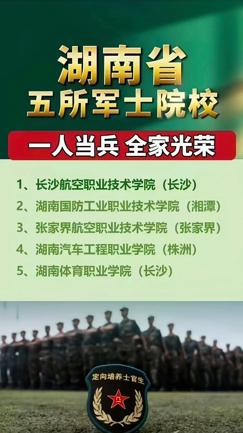定向士官淘汰率多高？具體數(shù)據(jù)如何？-圖1