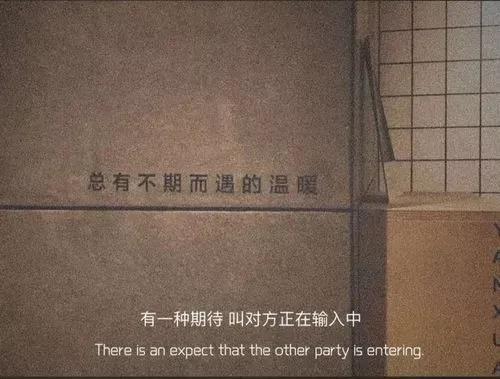 濱海中學(xué)的升學(xué)率如何？有哪些特色課程？-圖1