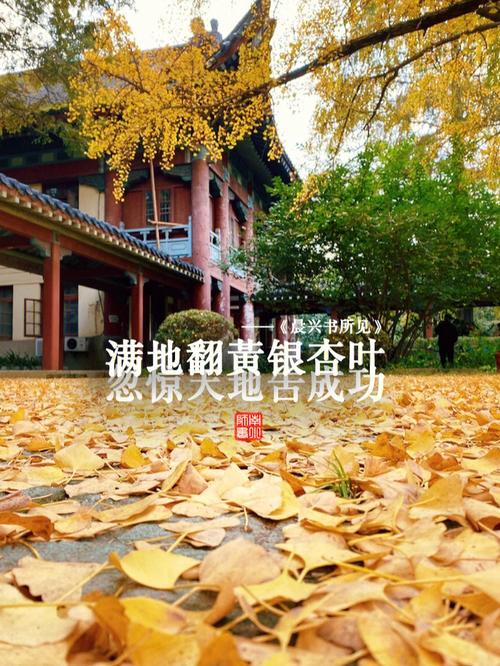 南京師范大學隨園校區地址是什么？如何查詢？-圖1