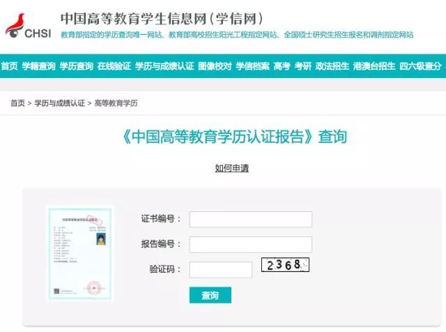 學(xué)位證書查詢結(jié)果-圖1