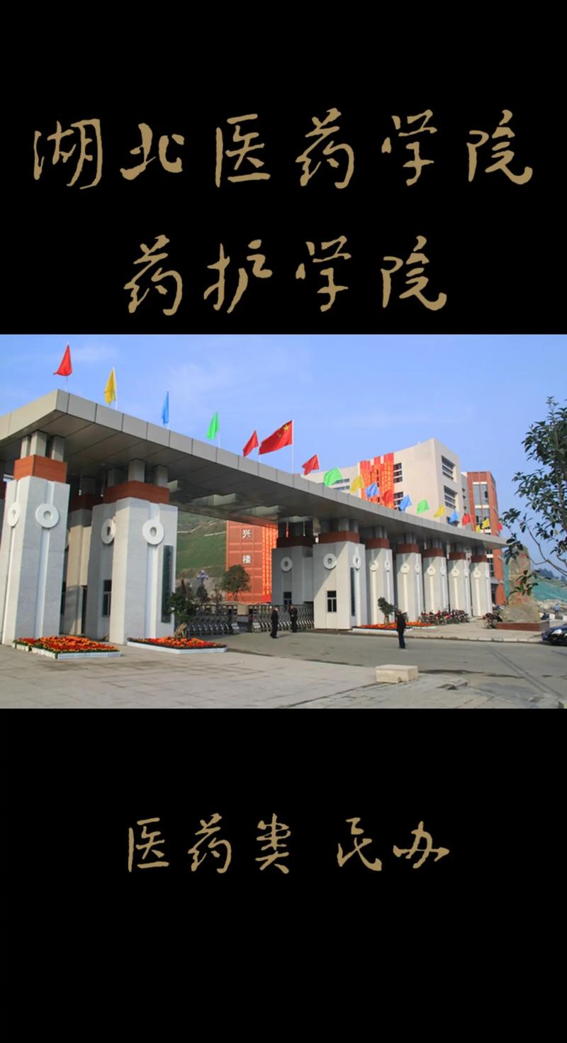 湖北醫(yī)學(xué)院藥護(hù)學(xué)院怎么樣-圖1