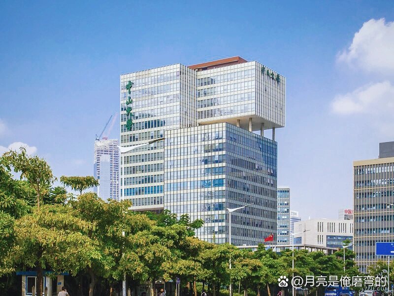 中山大學深圳研究院-圖1