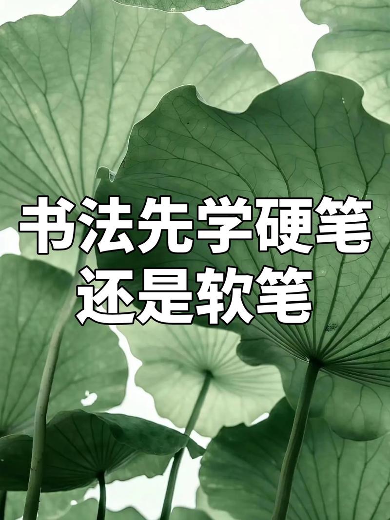 張雪峰談三年硬筆不如學一年毛筆-圖1