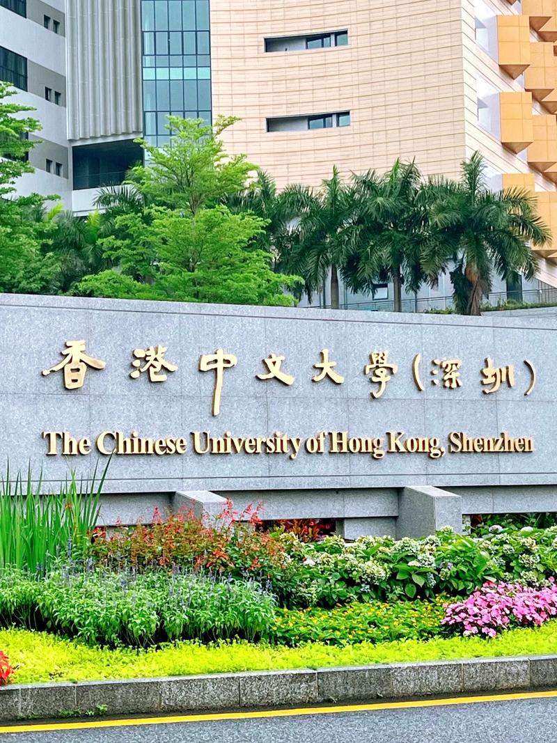 香港中文大學深圳校區-圖1