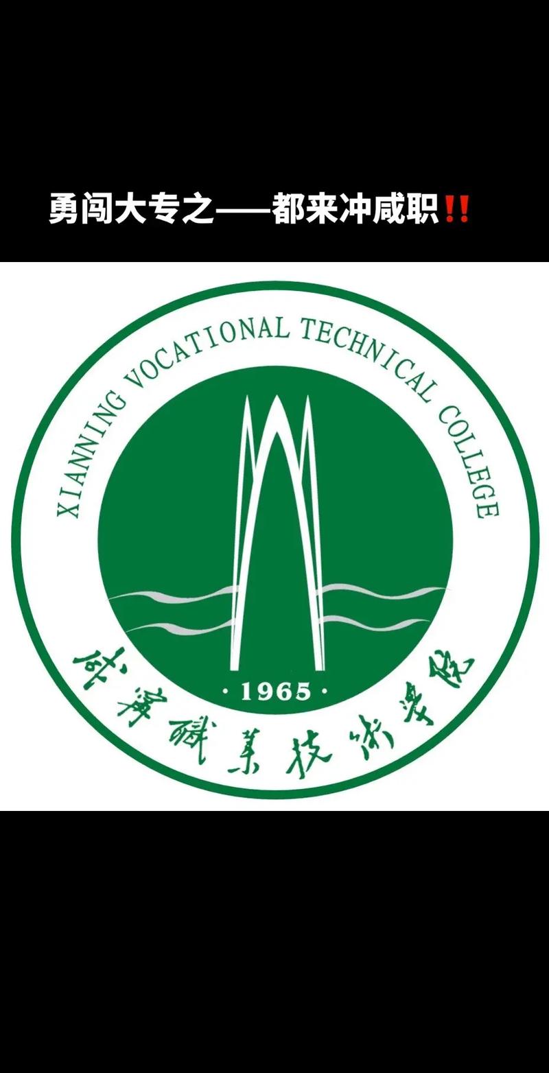 咸寧職業(yè)技術學院可以專升本嗎-圖1