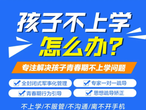 孩子不上學(xué)、叛逆、網(wǎng)癮問(wèn)題武漢紐特教育-央視推薦-圖2