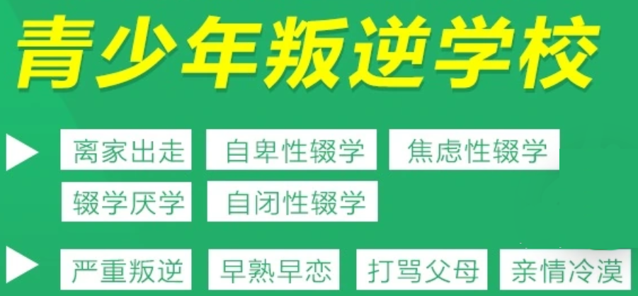 武漢地區(qū)-孩子叛逆/網(wǎng)絡(luò)成癮十大軍事化特訓學校-圖1