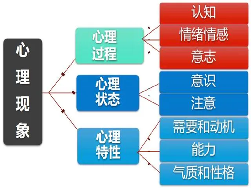 2025年中國心理衛(wèi)生協(xié)會的心理咨詢師如何報考?-圖1