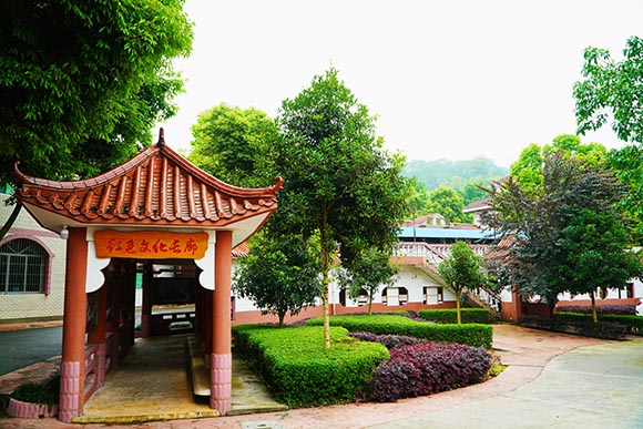 重慶德志錦輝素質教育為什么好評如潮？-圖1