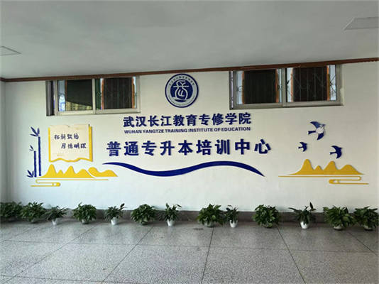 武漢市2025年統招全日制專升本培訓機構排行榜推薦如下-圖2