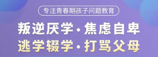 湖北武漢-紐特心理疏導機構|叛逆、厭學、網癮-圖1