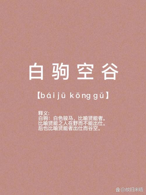 白駒空谷是什么意思_近義詞_來(lái)源-圖1