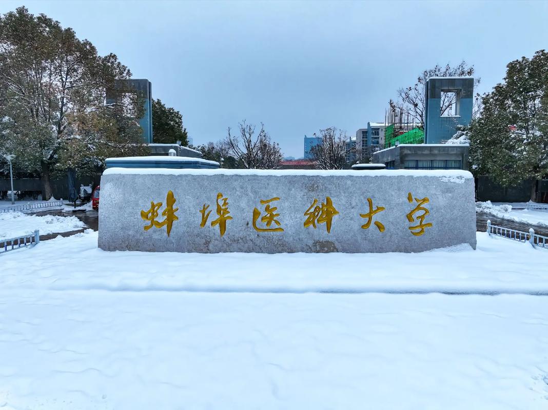 權威解讀！2025安徽自考護理學本科唯一報考院校：蚌埠醫科大學-圖1