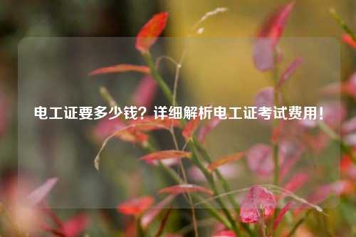 電工證要多少錢？詳細解析電工證考試費用！-圖1