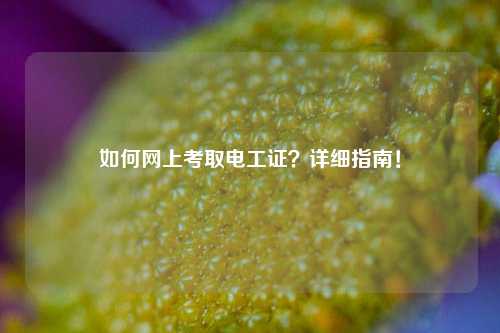 如何網(wǎng)上考取電工證？詳細(xì)指南！-圖1