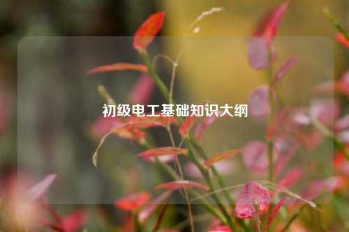 初級(jí)電工基礎(chǔ)知識(shí)大綱-圖1