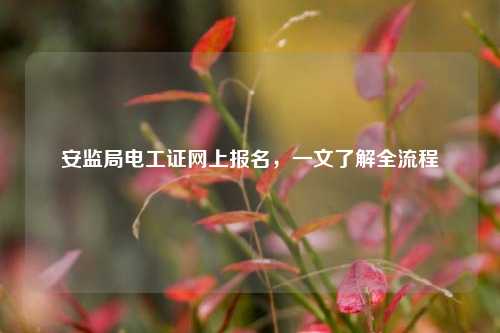 安監(jiān)局電工證網(wǎng)上報名，一文了解全流程-圖1