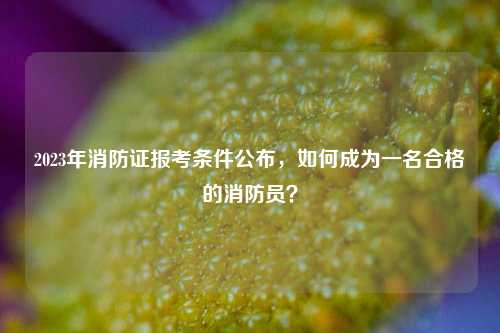 2023年消防證報(bào)考條件公布，如何成為一名合格的消防員？-圖1