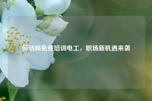 勞動局免費培訓(xùn)電工，職場新機遇來襲-圖1