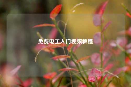 免費(fèi)電工入門視頻教程-圖1